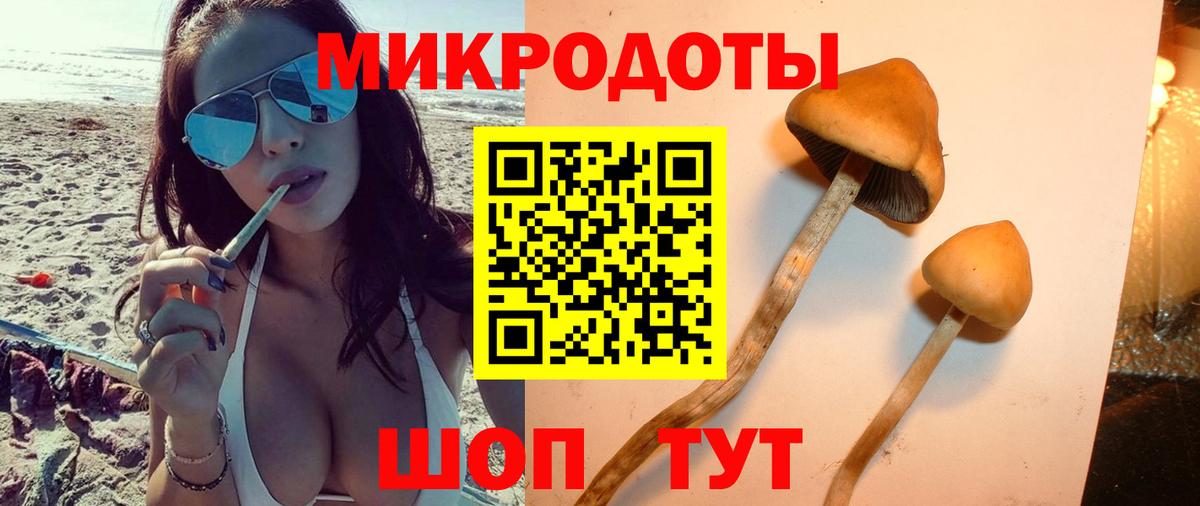 магазин  наркотиков  Вход с VPN  Иваново  Псилоцибиновые грибы Cubensis 